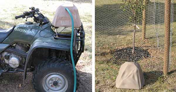 Watering rock being filled on front of ATV and placed in yard by a tree