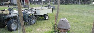 Watering rock in field by fruit tree and 4 wheeler