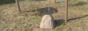 sandstone watering rock in field by a fruit tree