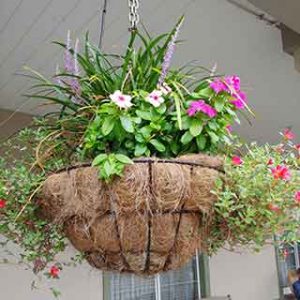 Hanging Basket on a porch with multi-colored flowers