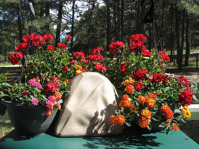 What do you buy the gardener who has everything this holiday season. How about a Watering Rock?