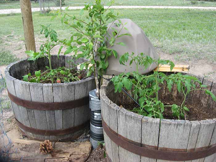 Watering Rock sitting on two barrels