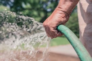 Hand holding a garden hose