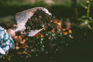 Hand Shovel with Dirt