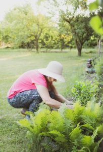 Lady in Pink Shirt caring for plants in garden