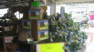 Watering Rocks gardening gifts  display at garden center