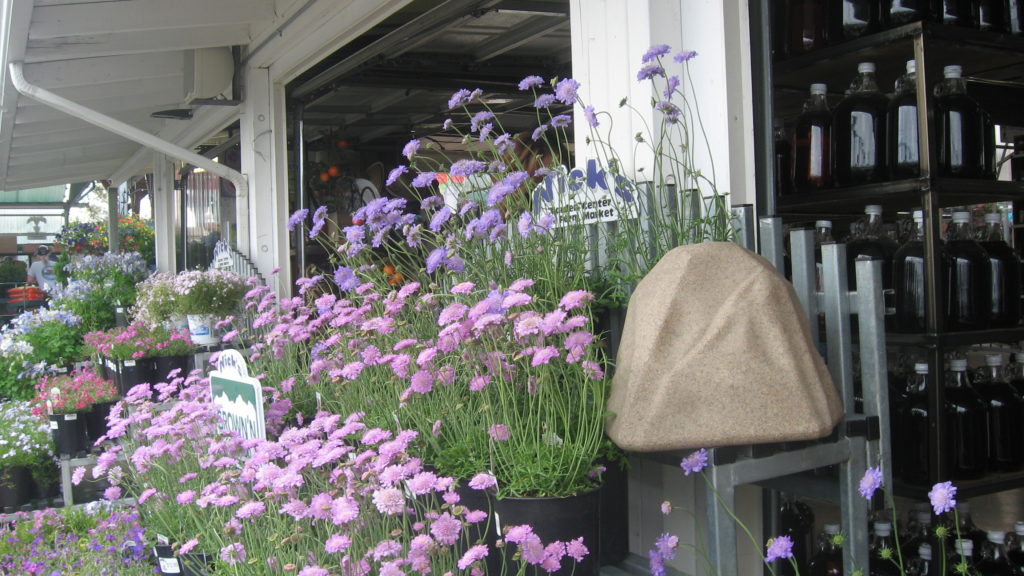 sandstone watering rock surrounded by plants in an urban garden