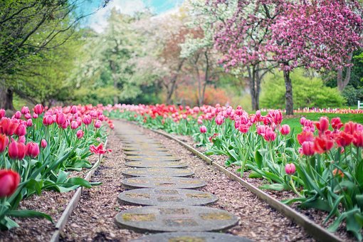 How To Kill Weeds in Your Garden